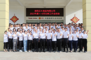 總結過去，計劃未來，協(xié)同創(chuàng)新，再創(chuàng)佳績！洛陽正大舉行2023年上半年工作總結會議